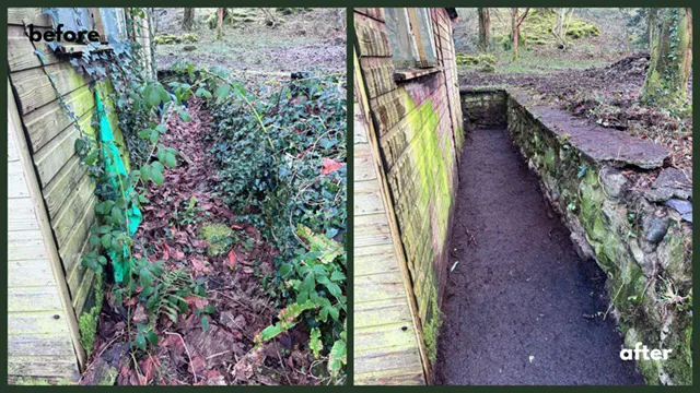 Picture showing before and after garden hedge maintenance and trimming completed by Hawkins Garden Services of Tywyn
