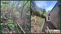 Picture showing before and after garden hedge trimming completed by Hawkins Garden Services of Tywyn